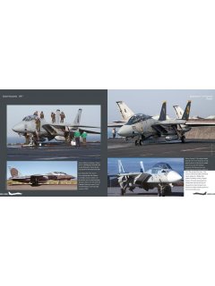 Duke Hawkins 037: F-14 Tomcat