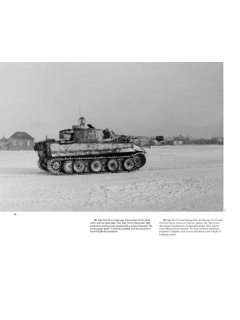 Der Tiger Vol. 3