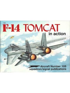 F-14 Tomcat in Action