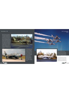Duke Hawkins 039: F-84F Thunderstreak