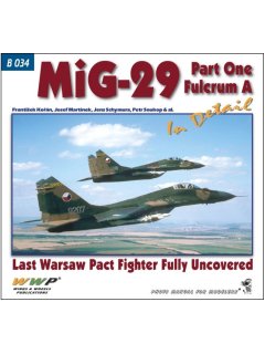 MiG-29A in Detail