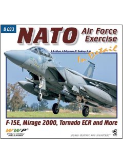 NATO Air Force Exercise in Detail