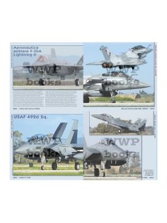 NATO Air Force Exercise in Detail