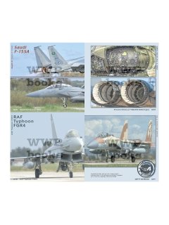 NATO Air Force Exercise in Detail