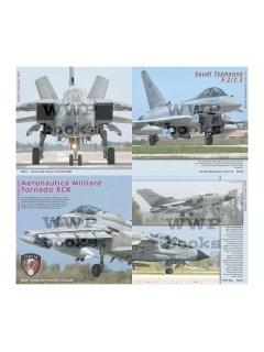 NATO Air Force Exercise in Detail
