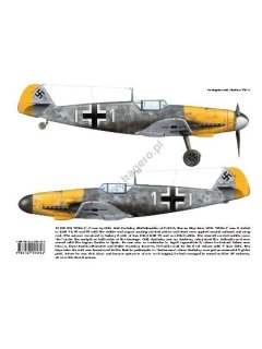 MiniTopcolors 48: Messerschmitt Bf 109 In Combat - Part I