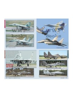 MiG-29A in Detail
