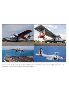 Araguaia War - Volume 1