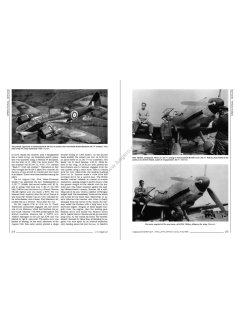 Messerschmitt Bf 109T - The Luftwaffe's Naval fighter