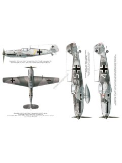 Messerschmitt Bf 109T - The Luftwaffe's Naval fighter