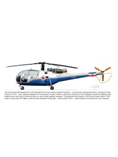 The Yugoslav Air Force - Volume 2