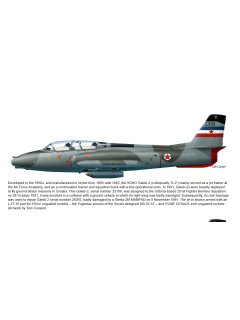 The Yugoslav Air Force - Volume 2