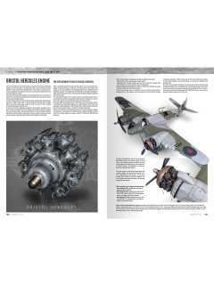 F.A.Q. 2 Aircraft Scale Modeling