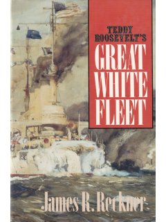 Teddy Roosevelt's Great White Fleet