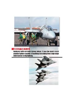 F-14 Tomcat Detail Photo Collection