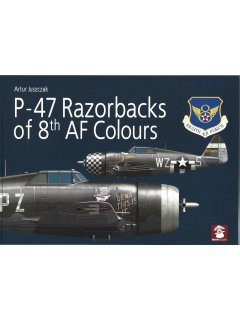 P-47 Razorbacks of 8th Air Force colours