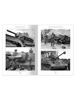 The Illustrated Guide of WWII Axis Military Vehicles The Illustrated Guide of WWII Axis Military Vehicles