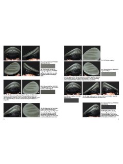 Painting Guide Vol. 2