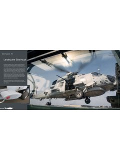 Duke Hawkins 041: Seahawk