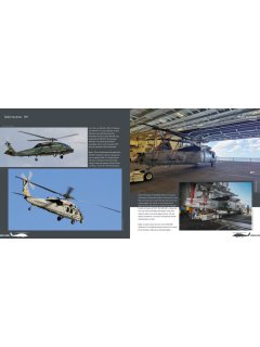 Duke Hawkins 041: Seahawk