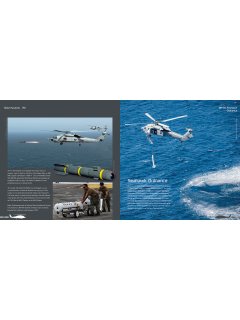 Duke Hawkins 041: Seahawk