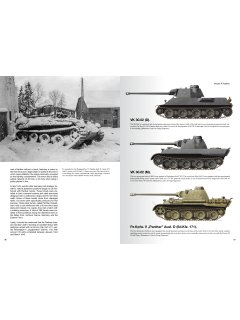 Tanks of the Wehrmacht WWII Tanks of the Wehrmacht WWII