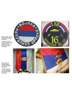 The Bosnian Serb Army at War