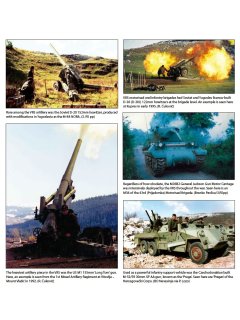 The Bosnian Serb Army at War