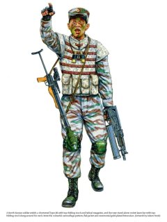 Asia@War No 55: The Armed Forces of North Korea - Volume 1 Part 1 Asia@War No 55: The Armed Forces of North Korea - Volume 1 Part 1