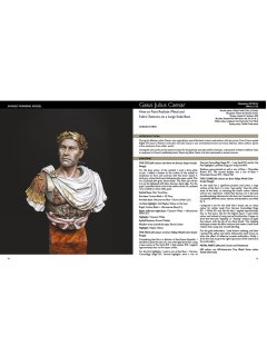 Warriors in Scale Vol. 3