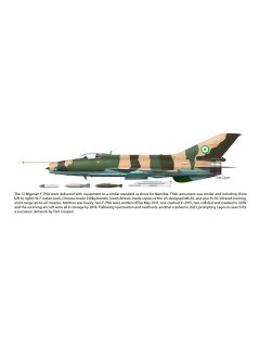 China's Fighter for the World - Volume 1