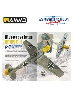 The Weathering Aircraft 24