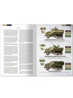 From Normandy to Paris