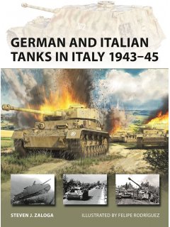 German and Italian Tanks in Italy 1943-45