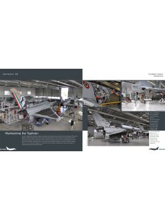 Duke Hawkins 006: Eurofighter Typhoon