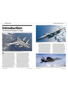 F-15 Eagle