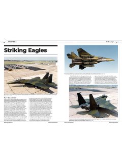 F-15 Eagle