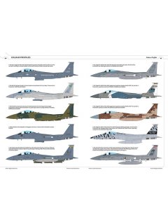 F-15 Eagle