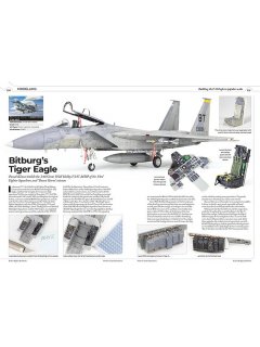 F-15 Eagle