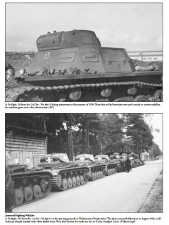 German Light Divisions 1938-39 - Volume 1