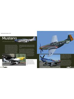 Duke Hawkins Classics 006: P-51D Mustang Duke Hawkins Classics 006: P-51D Mustang