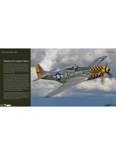 Duke Hawkins Classics 006: P-51D Mustang Duke Hawkins Classics 006: P-51D Mustang