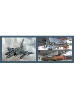 Aviation Guide 4: Mirage 2000 Aviation Guide 4: Mirage 2000