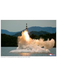 The Armed Forces of North Korea - Volume 4
