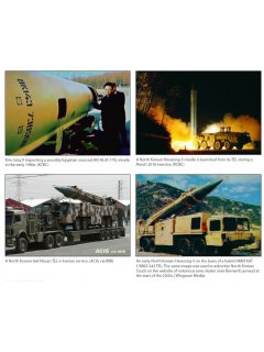 The Armed Forces of North Korea - Volume 4